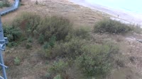 Darłówko - Beach
