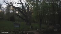 Zagnańsk - Bartek