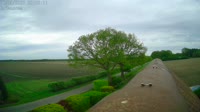 Fredenbeck - Ordenskamp
