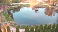 Rąbień - Pond