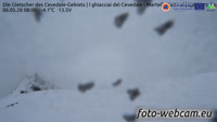 Val Martello - Butzenspitze - Cevedale