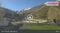 Sierra Nevada - Mirlo Blanco
