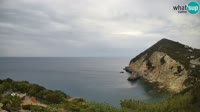 Ponza - Cala Cecata