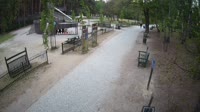 Parco forestale