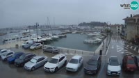 Novigrad - Porporela Marina