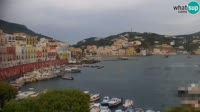 Ponza - Puerto