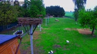 Kozubszczyzna - Bociani Azyl