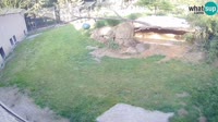 Ljubljana - ZOO