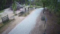 Miško parkas