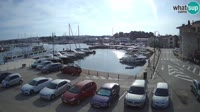 Novigrad - Porporela Marina