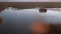 Doñana National Park - Caño de Rosalimán