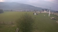 Miniatiūra