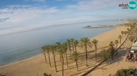 Roses - Beach