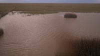 Doñana National Park - Caño de Rosalimán
