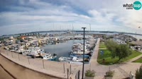 Tuconio - Marina