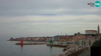 Pirano - Porto