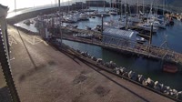 Fenit - Marina