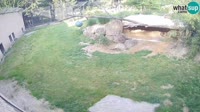 Lubiana - ZOO