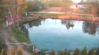 Rąbień - Staw