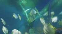 Qawra - Acquario Nazionale di Malta