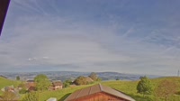 Root - Vista panoramica