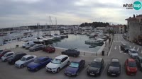 Novigrad - Porporela Marina
