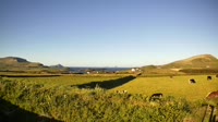 Isole Skellig - Valentia - Baia di Foilhomurrum
