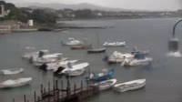 Rosignano Marittimo - Castiglioncello - Porticciolo