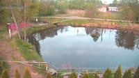 Rąbień - Staw