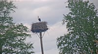 Grabenstätt - Winkl - Storks