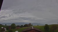 Root - Vista panorámica
