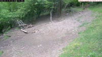 Veszprém - Vogelhäuschen