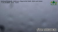 Maibrunn - Waldwipfelweg - Foresta Bavarese