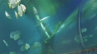 Qawra - Das Malta National Aquarium