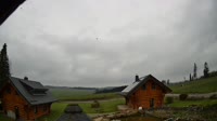 Oberharz am Brocken - Tanne