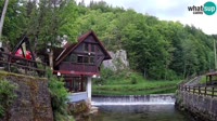 Vrbovsko - Arroyo Kamačnik