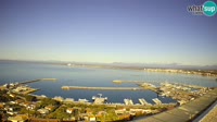 Roses - Fishing Port