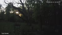 Zagnańsk - Bartek