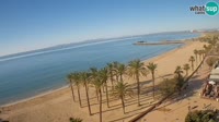 Roses - Beach