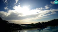Rosolina Mare - Camping Vittoria