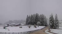 Fieberbrunn - Streuböden Mittelstation