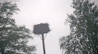 Grabenstätt - Winkl - Storks
