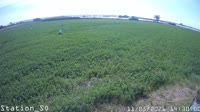 Eboli - Borgo Cioffi