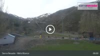 Sierra Nevada - Mirlo Blanco