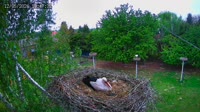 Kozubszczyzna - Bociani Azyl - Barn