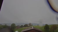 Root - Vue panoramique
