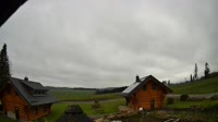 Oberharz am Brocken - Tanne