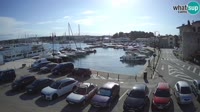 Novigrad - Porporela Marina