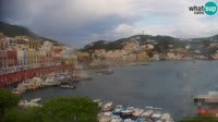 Ponza - Harbour