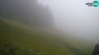 Miniaturansicht
